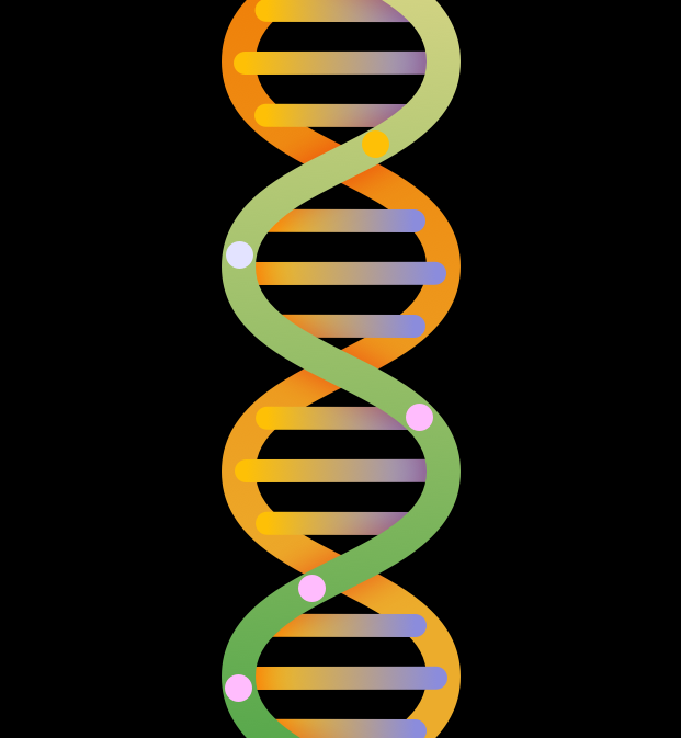DNA double helix illustration